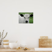 Whimsical White Calf Poster (Keuken)
