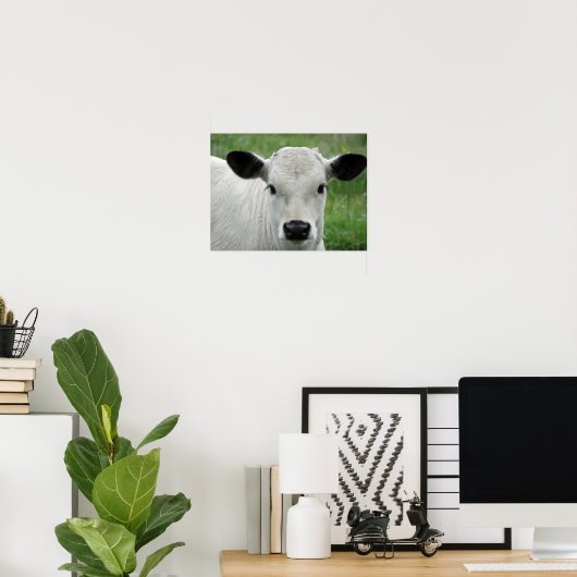 Whimsical White Calf Poster (Thuiskantoor)