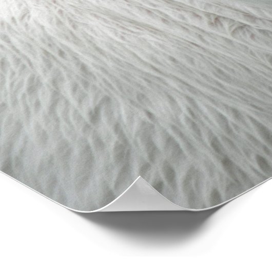 Whimsical White Calf Poster (Hoek)