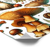 Whimsical wilde paddenstoelen poster (Hoek)