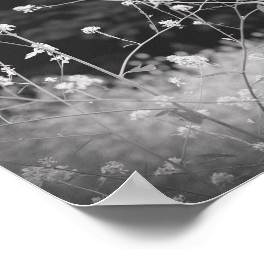 Whimsical Wildflower Zwart-wit Poster (Hoek)