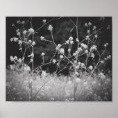 Whimsical Wildflower Zwart-wit Poster (Voorkant)