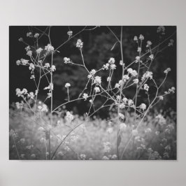 Whimsical Wildflower Zwart-wit Poster