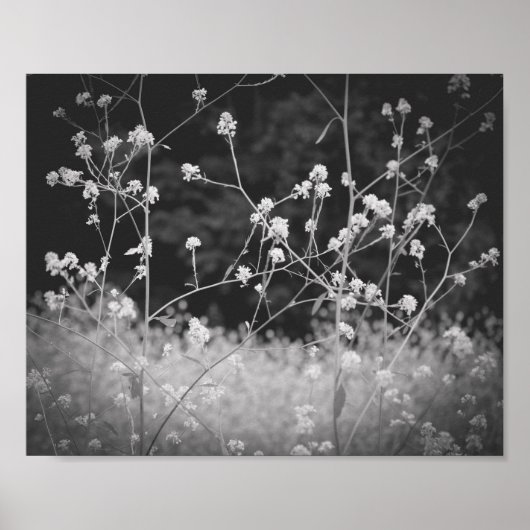 Whimsical Wildflower Zwart-wit Poster (Voorkant)