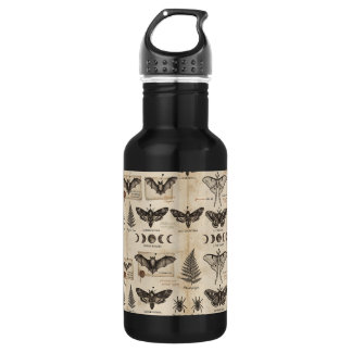 Whimsigoth botanische specimens antieke mot vleerm waterfles