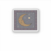 Whimsigoth Moon Classic Sticker (Voorkant)