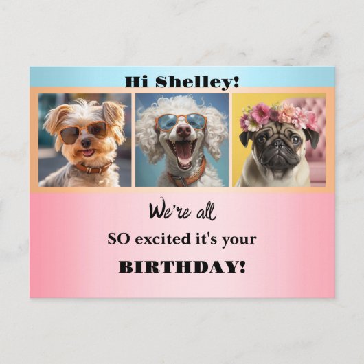 Whimsische Moppige Grappige Foto's Pastelkleurige  Briefkaart (Voorkant)