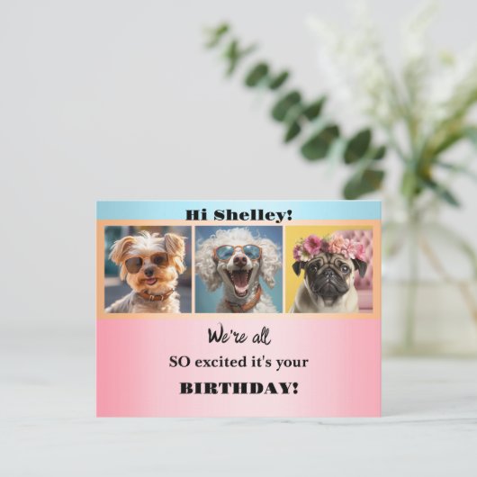 Whimsische Moppige Grappige Foto's Pastelkleurige  Briefkaart (Staand voorkant)