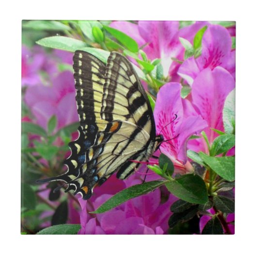 Whimsy Art Tile Tegeltje (Voorkant)