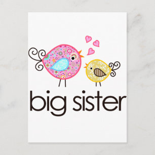 Whimsy Birds Big Sister T-shirt Aankondiging