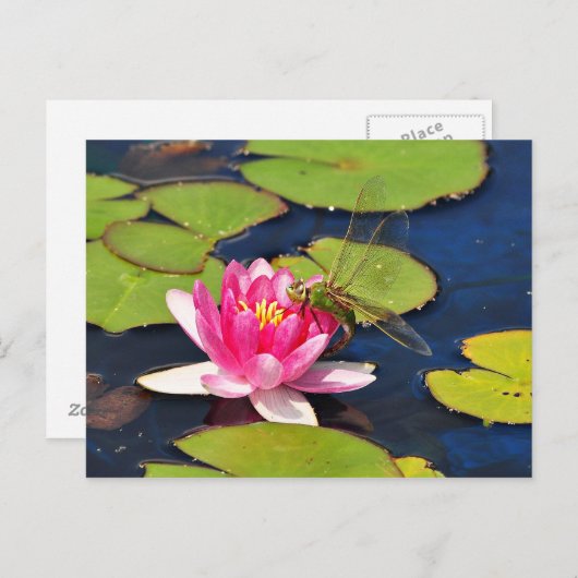 "Whimsy" Briefkaart (Voorkant / Achterkant)