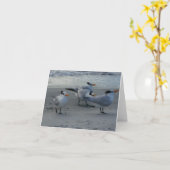 Whinning Seagull Kaart (Gele Bloem)