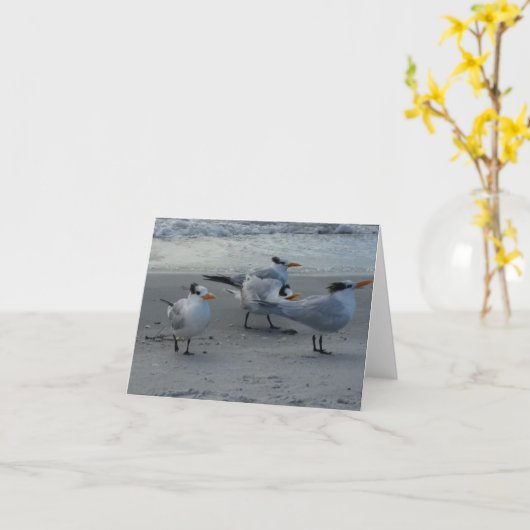 Whinning Seagull Kaart (Gele Bloem)