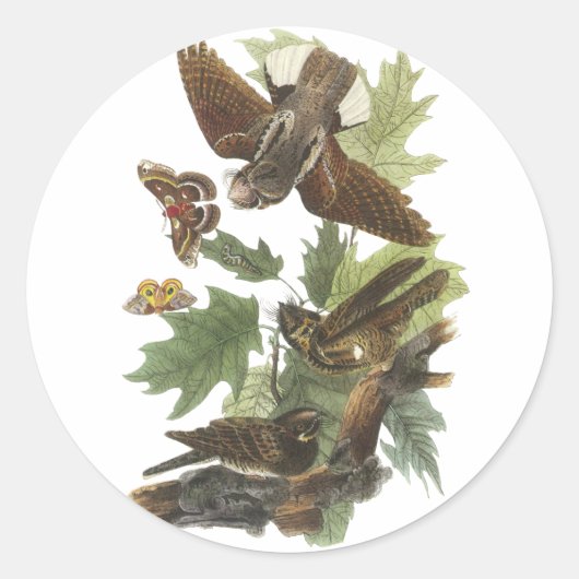 Whip-arme-wil, John Audubon Ronde Sticker (Voorkant)
