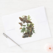 Whip-arme-wil, John Audubon Ronde Sticker (Envelop)