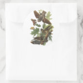 Whip-arme-wil, John Audubon Ronde Sticker (Tas)