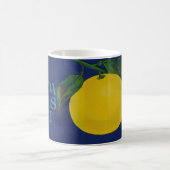 Whip Citrus Fruit Label Koffiemok (Center)