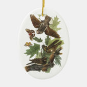 Whip-poor-will, John Audubon Keramisch Ornament (Voorkant)
