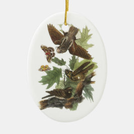 Whip-poor-will van Audubon Keramisch Ornament
