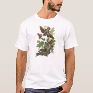 Whip-poor-will van Audubon T-shirt