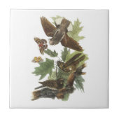 Whip-poor-will van Audubon Tegeltje (Voorkant)
