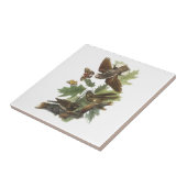 Whip-poor-will van Audubon Tegeltje (Zijkant)