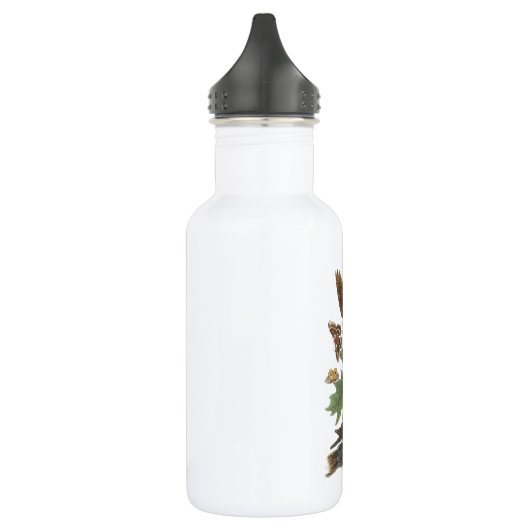 Whip-poor-will van Audubon Waterfles (Links)