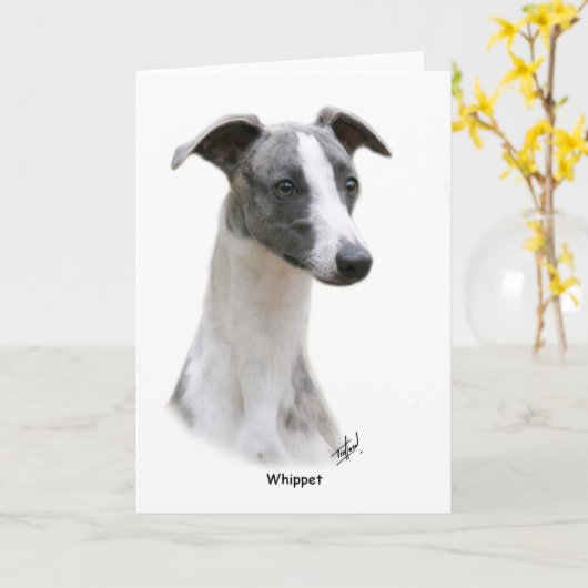Whippet 9Y205D-231 Kaart (Gele Bloem)