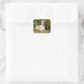 Whippet 9Y563D-005 Ronde Sticker (Tas)