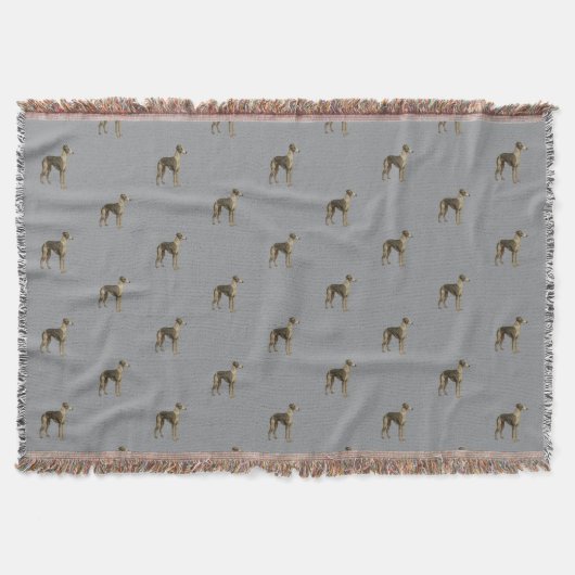 Whippet blanket - Whippet against grey background Deken (Voorkant)
