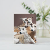 Whippet Briefkaart (Staand voorkant)