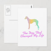 Whippet Briefkaart (Voorkant / Achterkant)
