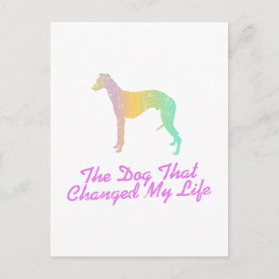 Whippet Briefkaart