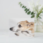 Whippet Briefkaart (Staand voorkant)