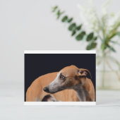 Whippet Briefkaart (Staand voorkant)