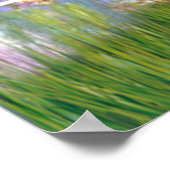 Whippet (bruin-wit) - Lilies 2 Poster (Hoek)