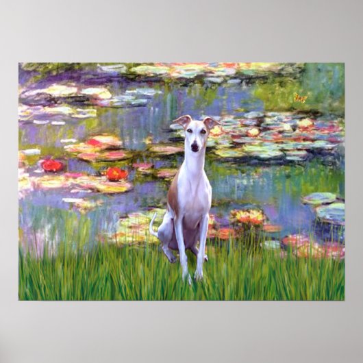 Whippet (bruin-wit) - Lilies 2 Poster (Voorkant)