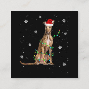 Whippet Christmas Light Cute Santa Whippet Xmas Vierkante Visitekaartje