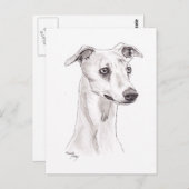 Whippet Dog Art Briefkaart (Voorkant / Achterkant)