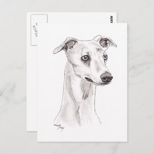 Whippet Dog Art Briefkaart (Voorkant / Achterkant)