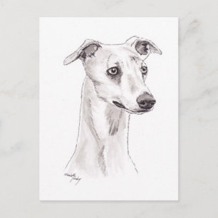 Whippet Dog Art Briefkaart