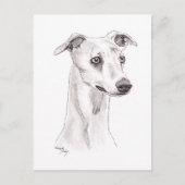 Whippet Dog Art Briefkaart (Voorkant)
