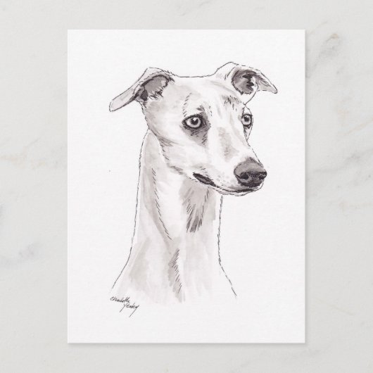 Whippet Dog Art Briefkaart (Voorkant)