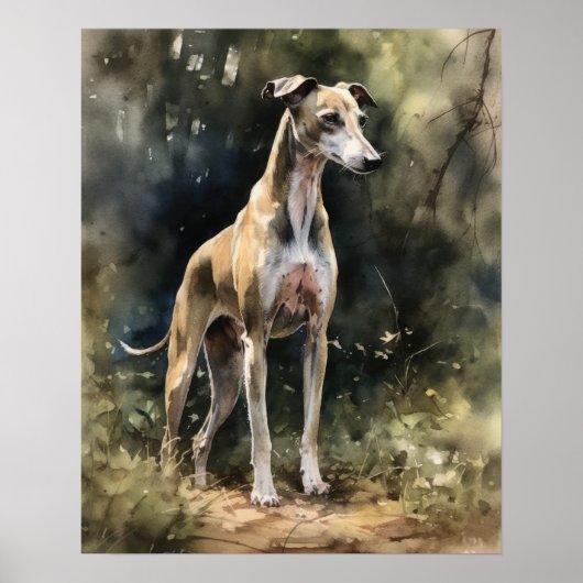 Whippet Dog Art Print Poster (Voorkant)