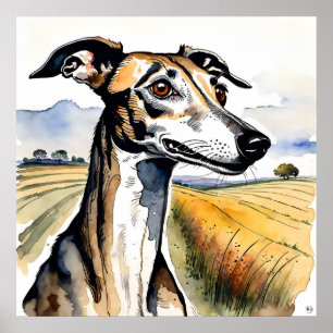 Whippet Dog - Dog Art Print