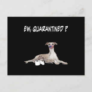 Whippet Dog Ew Quarantined Dog die een gezichtsmas Feestdagenkaart