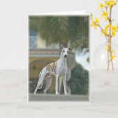 Whippet Dog Kaart (Gele Bloem)