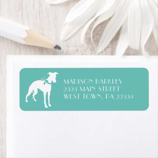 Whippet Dog Puppy Etiket (Insitu)