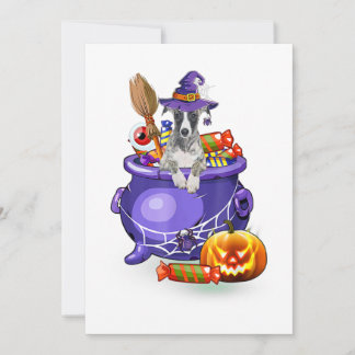Whippet Dog with witch hat Candy Pumpkin Halloween Feestdagenkaart