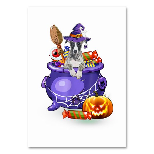 Whippet Dog with witch hat Candy Pumpkin Halloween Kaart (Voorkant)